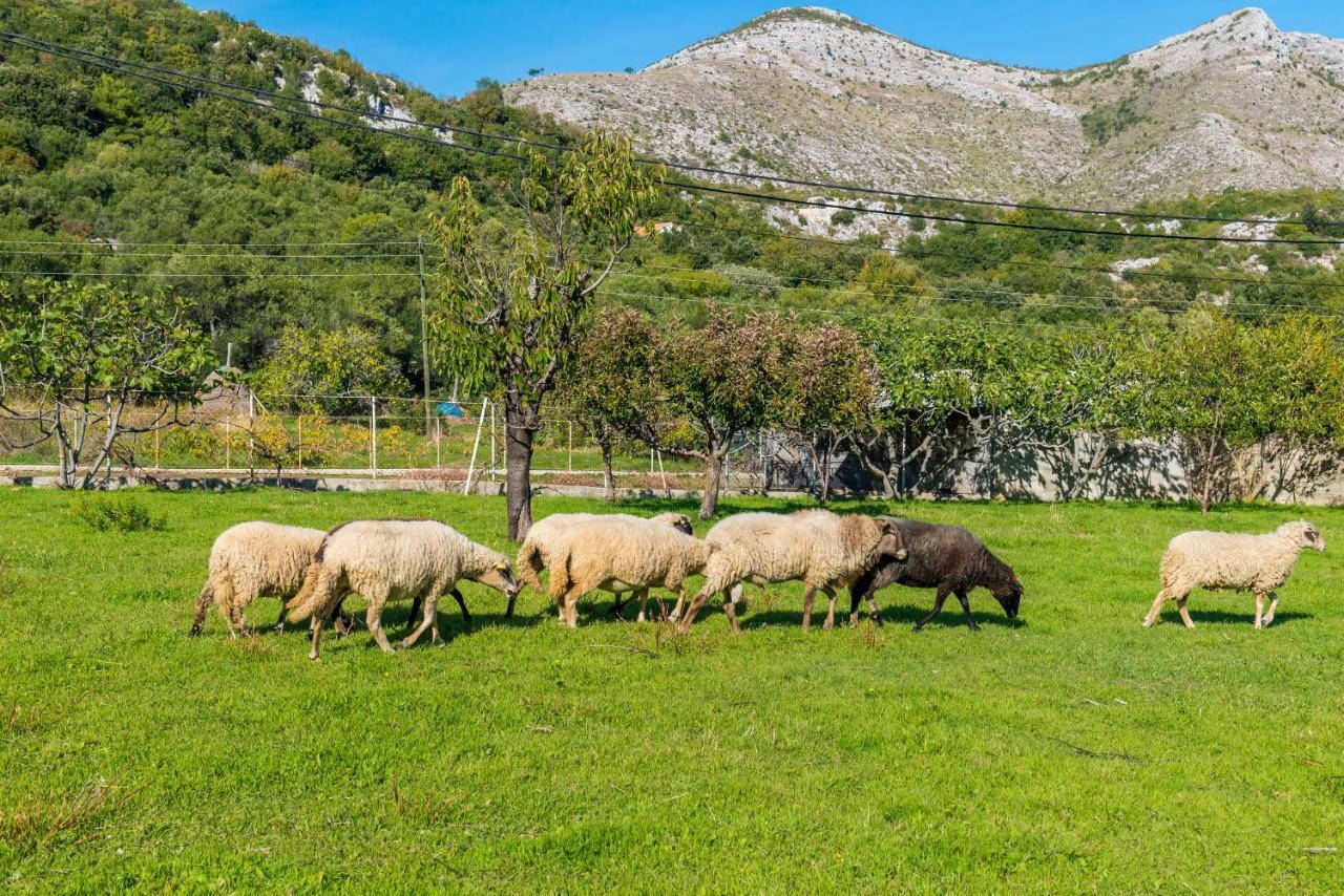 Luki Home Ντουμπρόβνικ Εξωτερικό φωτογραφία